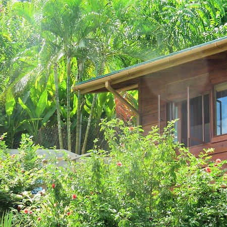 Castara Retreats Apartment Bilik gambar